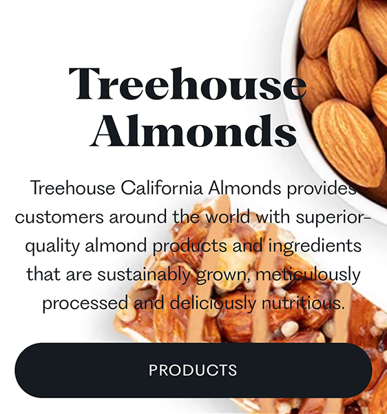 treehouse web design